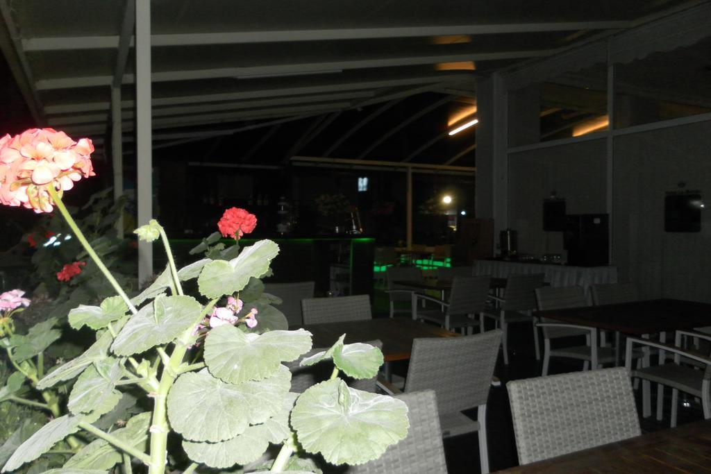 Hotel La Mosae Alanya Exterior foto